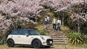 満開の桜並木と石段の風景、その横に並ぶ愛車のミニ（MINI）健康維持